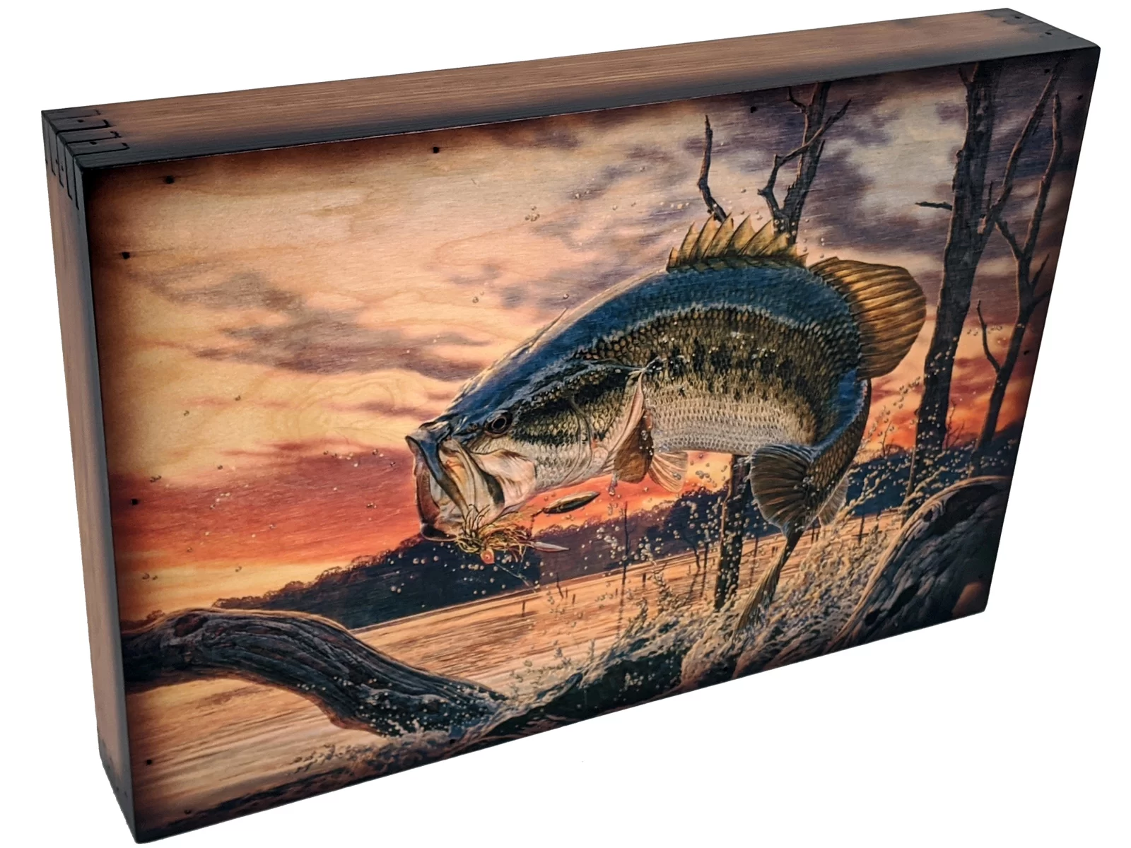 Evening Bass Fishing Wall Art - Relic Wood