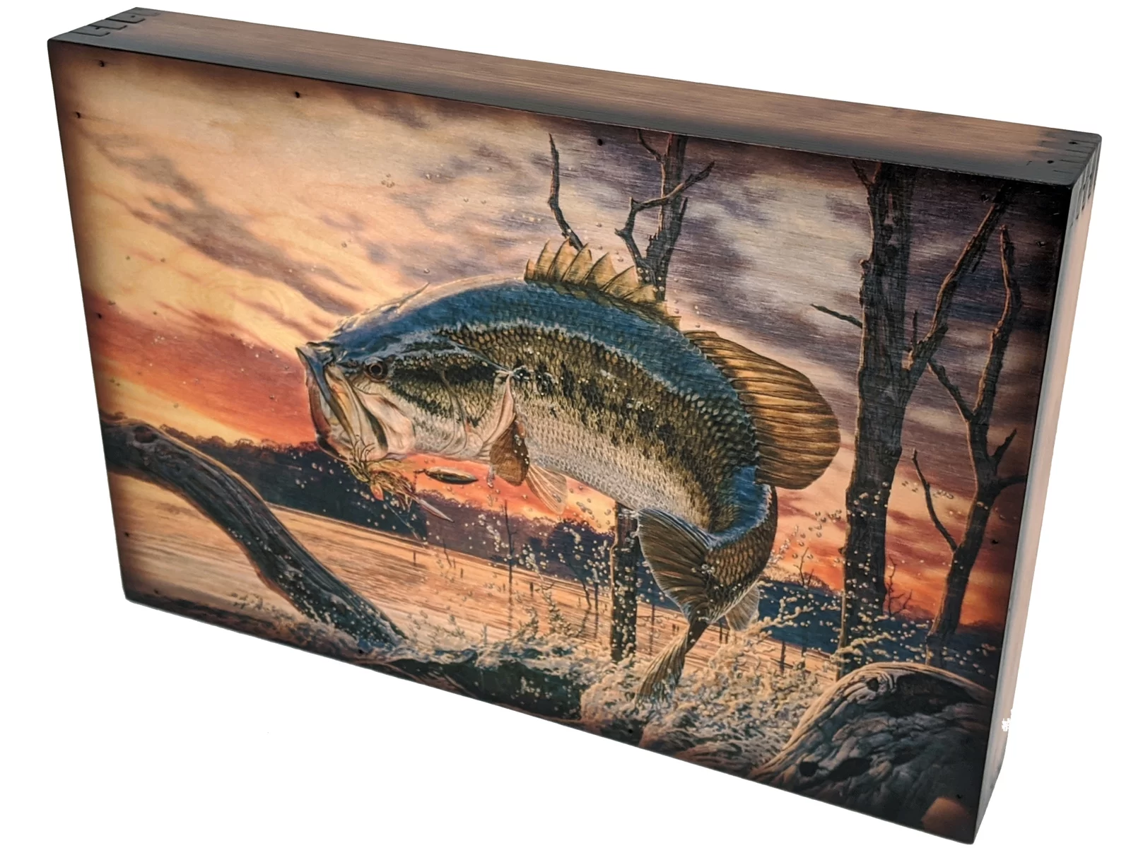 Evening Bass Fishing Wall Art - Relic Wood