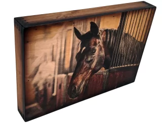 Horse Home Accents