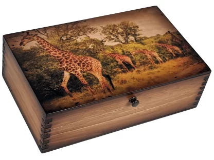 South African Giraffe Medium Box